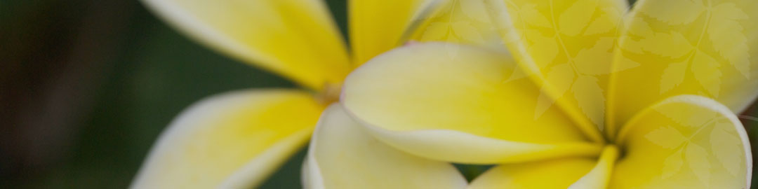 お問い合せイメージ